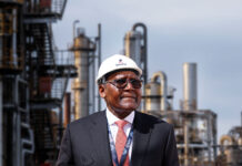 Dangote IPO puts African capital to the test Dangote's IPO testing funders
