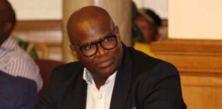 Former Emfuleni CFO Andile Dyakala fined R100k for calling colleague corrupt Former Emfuleni CFO Andile Dyakala