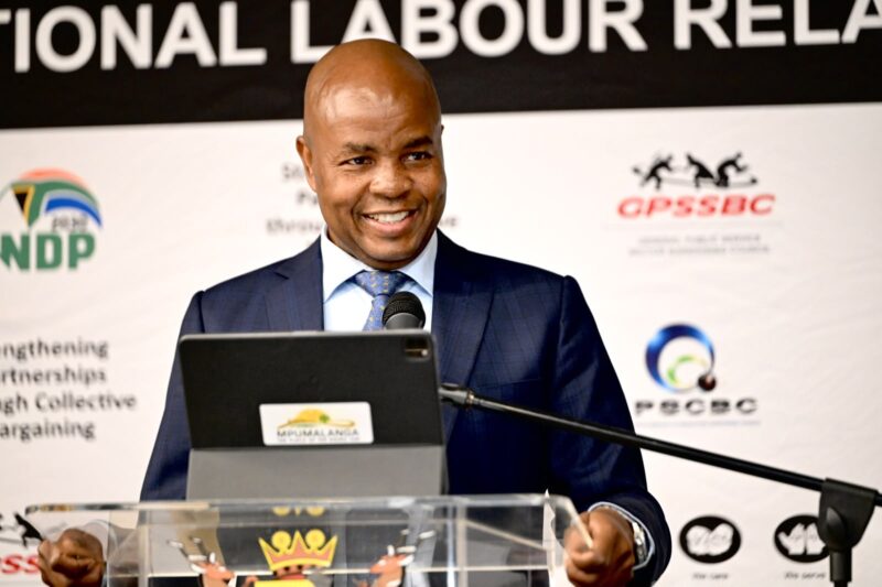 Mpumalanga Premier, Mandla Ndlovu