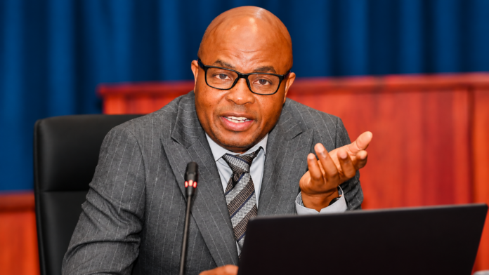 Mpumalanga Premier Mandla Ndlovu