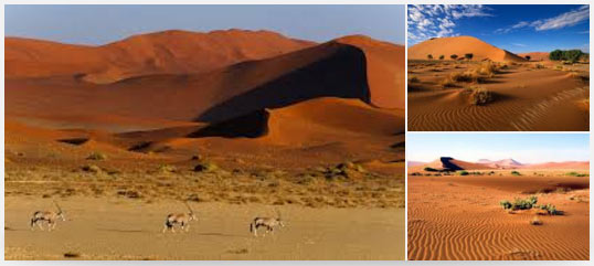 Namibia eyes AI, digital technology to boost tourism sector