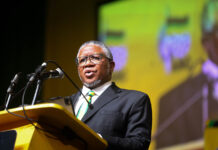 Fikile Mbalula’s command tested
