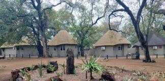 Letaba Rest Camp