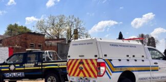 Police and forensic officials at the KwaThema scene where a woman’s body was discovered.