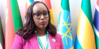 Fitsum appointed Ethiopia's finance minister