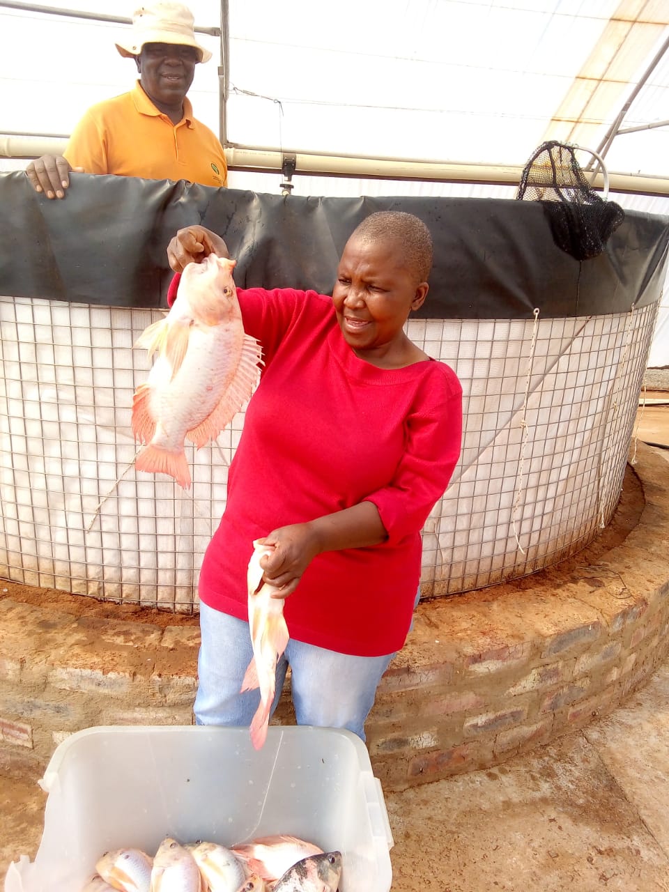 At Mathotshe Business Enterprise in Doornkop, Salome Mathobela now produces about 14 tonnes of fish a year.