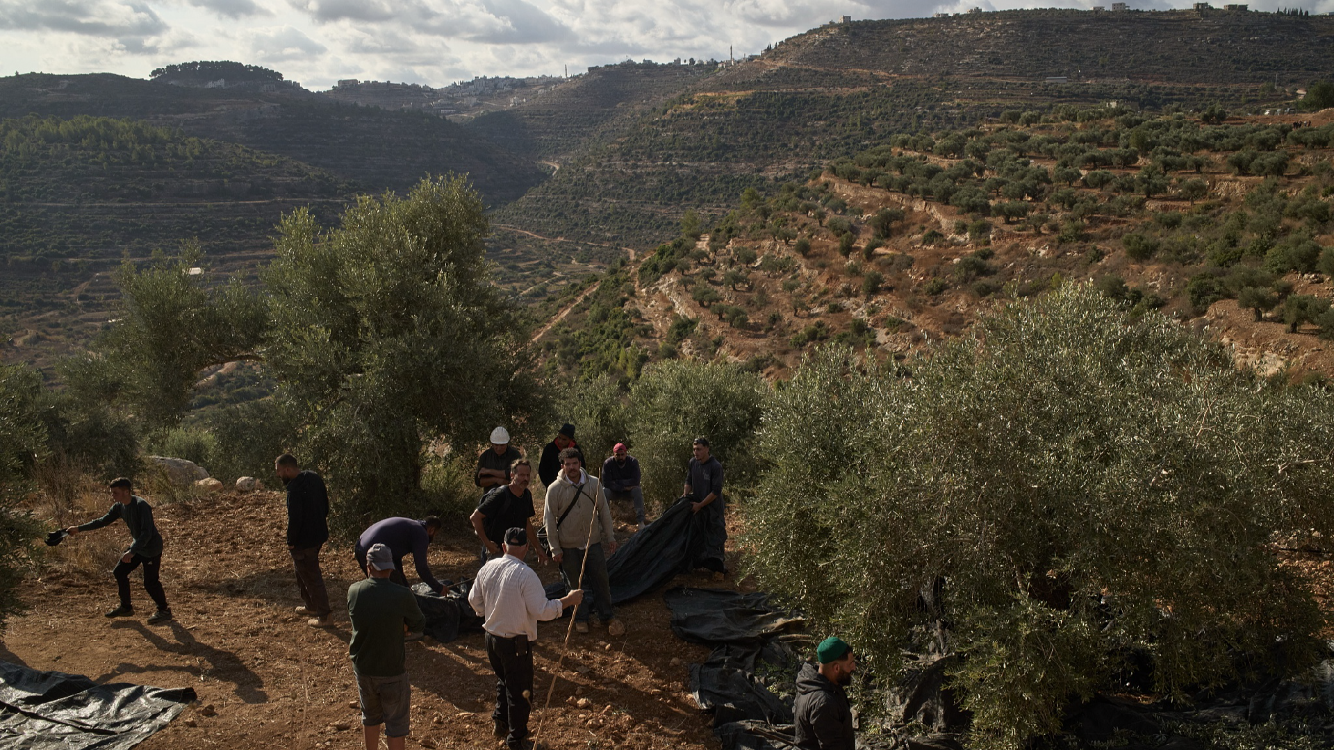 Israeli settlers gather behind a soldier gesturing to activists as Palestinians are prevented from harvesting olives