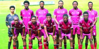 Moroka Swallows and Wits rekindle famous rivalry in amateur football Dube Birds spread their wings for another flight
